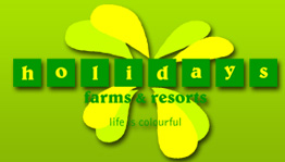 Holidays Logo